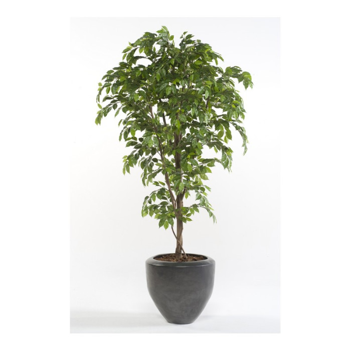 Искусственное растение "Фикус" в горшке, 170 см, пластик, цвет зеленый