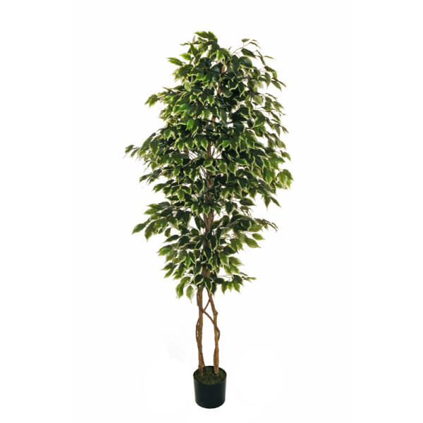 Искусственное растение "Фикус" в горшке, 180 см, пластик, цвет зеленый