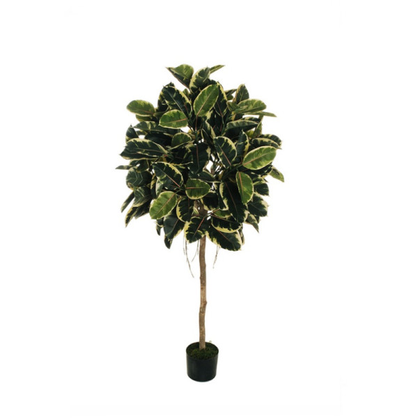 Искусств.растение "Каучуковое дерево" в горшке, 160 см, пластик, цвет разноцвет